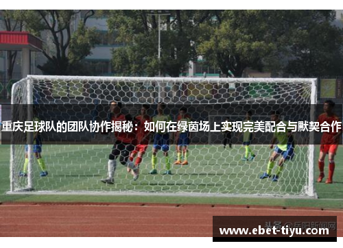 重庆足球队的团队协作揭秘：如何在绿茵场上实现完美配合与默契合作