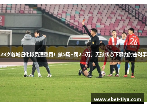 28岁蓉城归化球员遭重罚！禁5场+罚2.5万，无球状态下暴力肘击对手